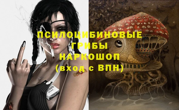 амф Арсеньев