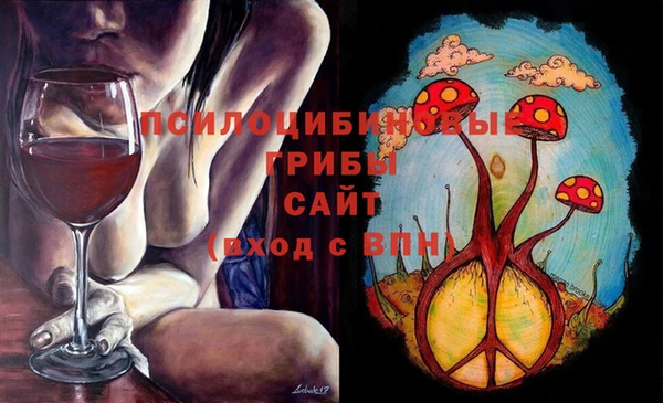 шишки Аркадак
