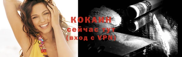 винт Ельня