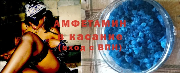 шишки Аркадак