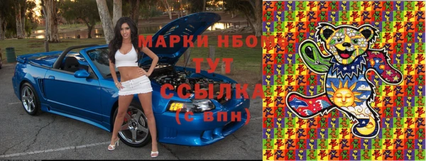 шишки Аркадак