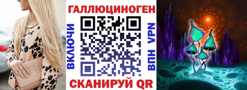 Галлюциногенные грибы Psilocybe  Неман 